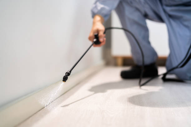 Licensed Pest Control service in Chester, PA - Show Me Pest Control